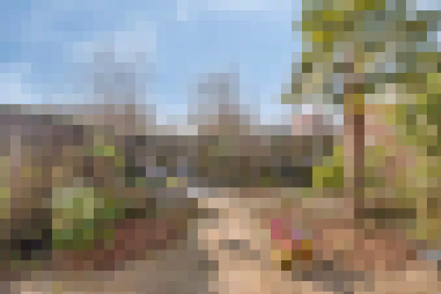 Hovenier 27 Rhoon thumbnail 30