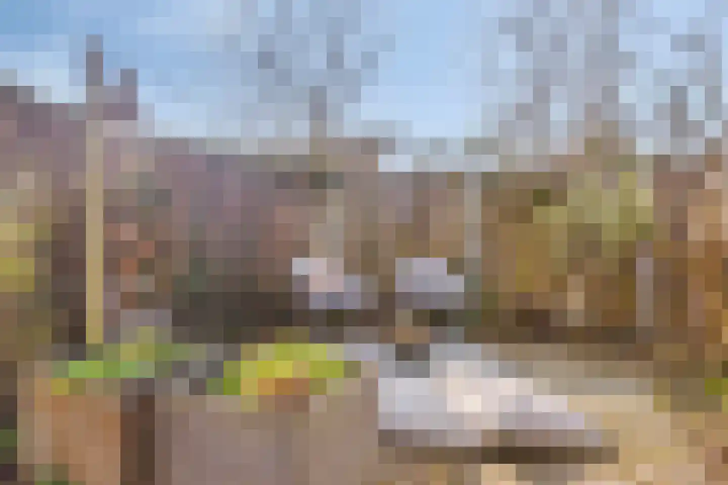 Hovenier 27 Rhoon thumbnail 31