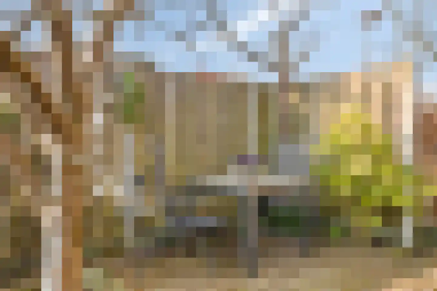 Hovenier 27 Rhoon thumbnail 32