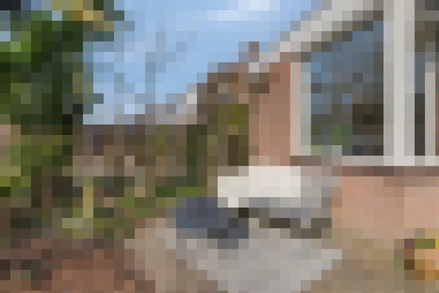 Hovenier 27 Rhoon thumbnail 33