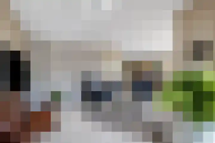 Hovenier 39 Rhoon thumbnail 13