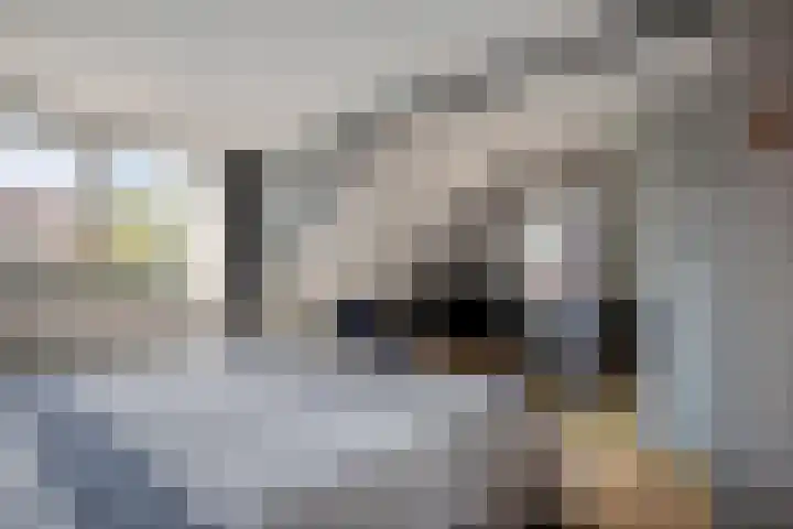 Hovenier 39 Rhoon thumbnail 21