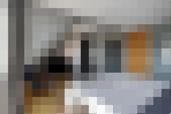 Hovenier 39 Rhoon thumbnail 22