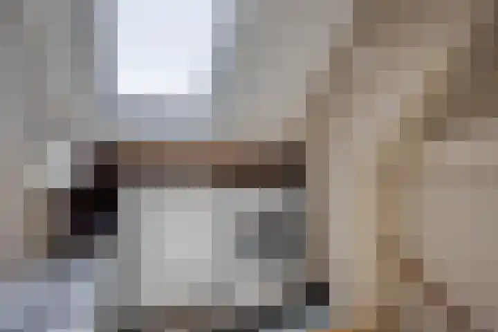 Hovenier 39 Rhoon thumbnail 27