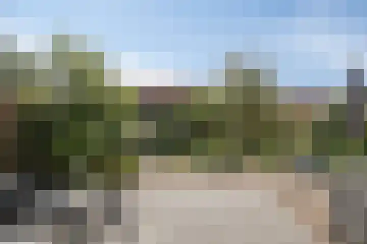 Hovenier 39 Rhoon thumbnail 30