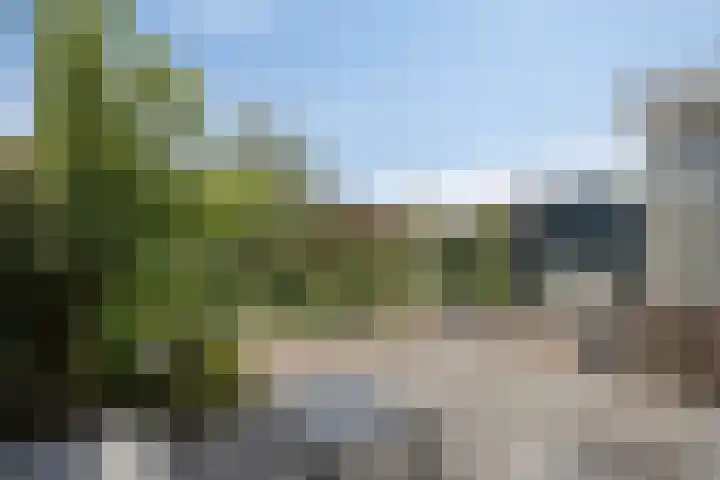 Hovenier 39 Rhoon thumbnail 31