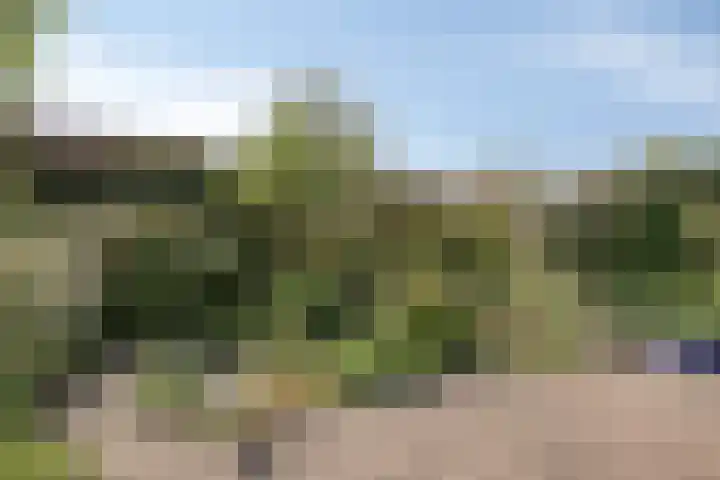 Hovenier 39 Rhoon thumbnail 32