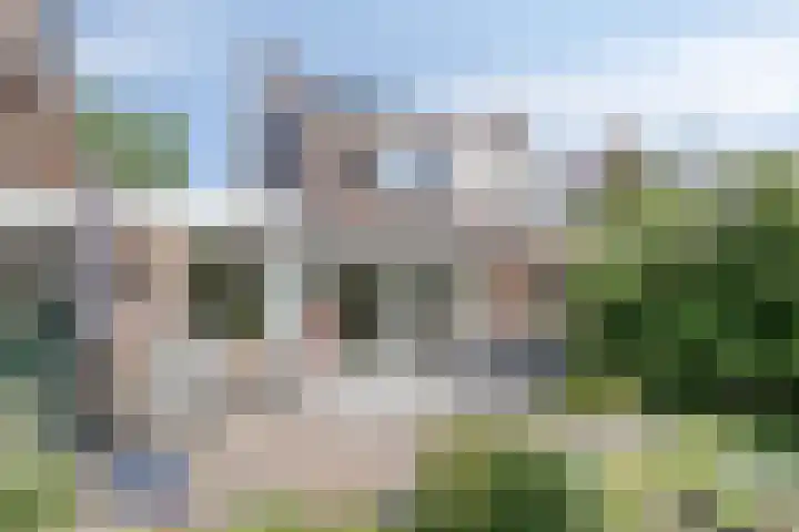 Hovenier 39 Rhoon thumbnail 33