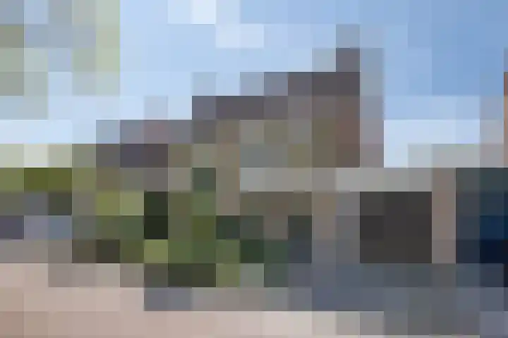 Hovenier 39 Rhoon thumbnail 34