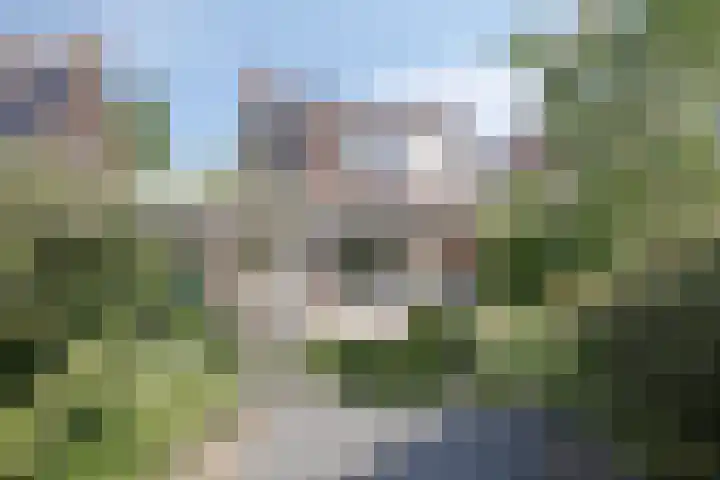 Hovenier 39 Rhoon thumbnail 6