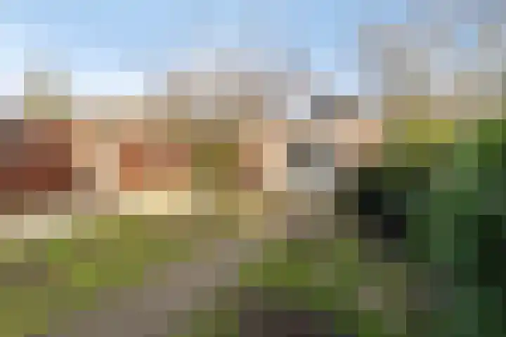 Hoveniersberg 103 Roosendaal thumbnail 27