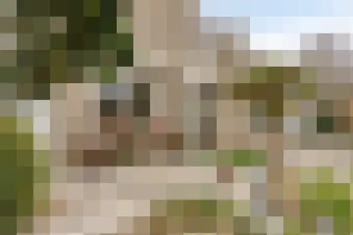 Hoveniersberg 2 Roosendaal thumbnail 20