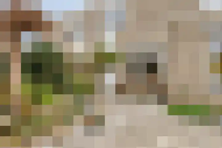 Hoveniersberg 2 Roosendaal thumbnail 21
