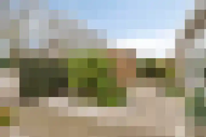Hoveniersberg 2 Roosendaal thumbnail 24