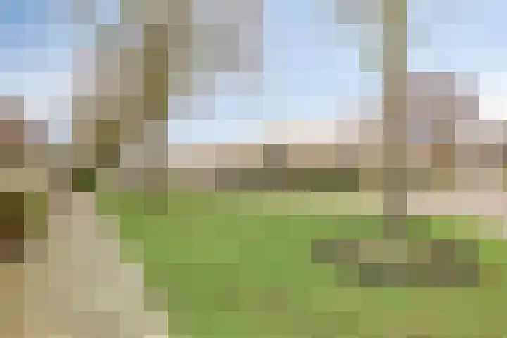 Hoveniersberg 2 Roosendaal thumbnail 27