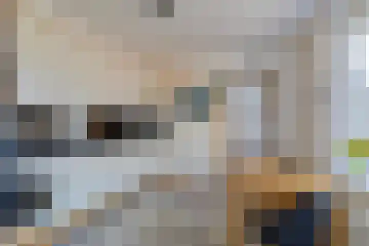Hoveniersberg 7 Roosendaal thumbnail 9