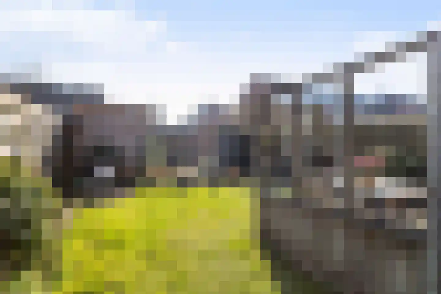 Hoveniersdreef 201 Apeldoorn thumbnail 17