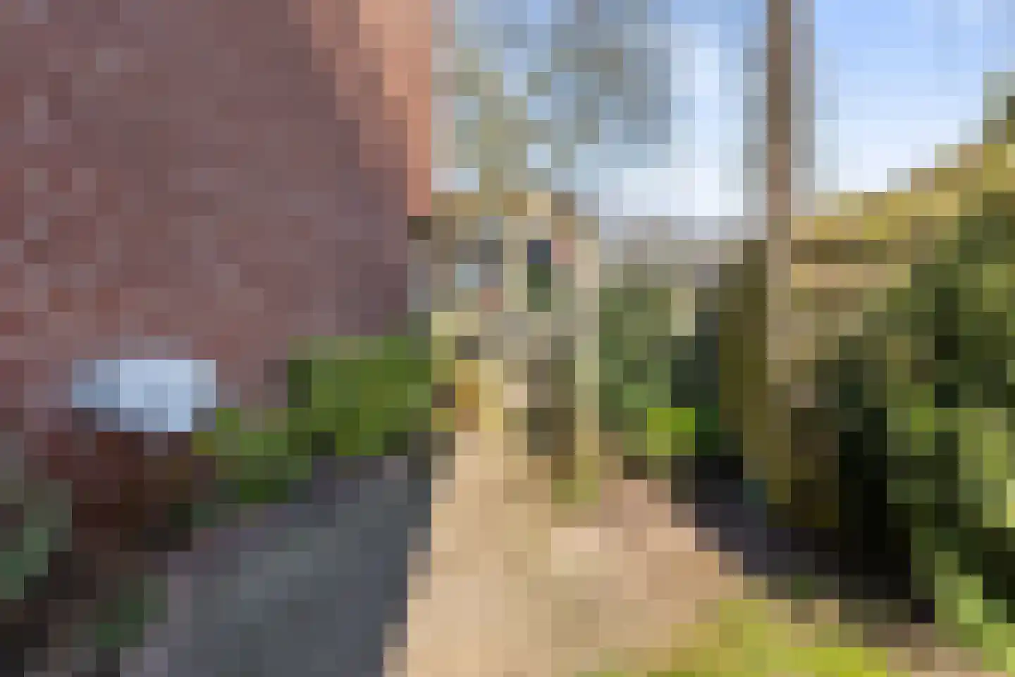 Hoveniersdreef 201 Apeldoorn thumbnail 18