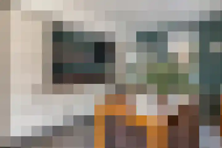 Hoveniersdreef 202 Apeldoorn thumbnail 10