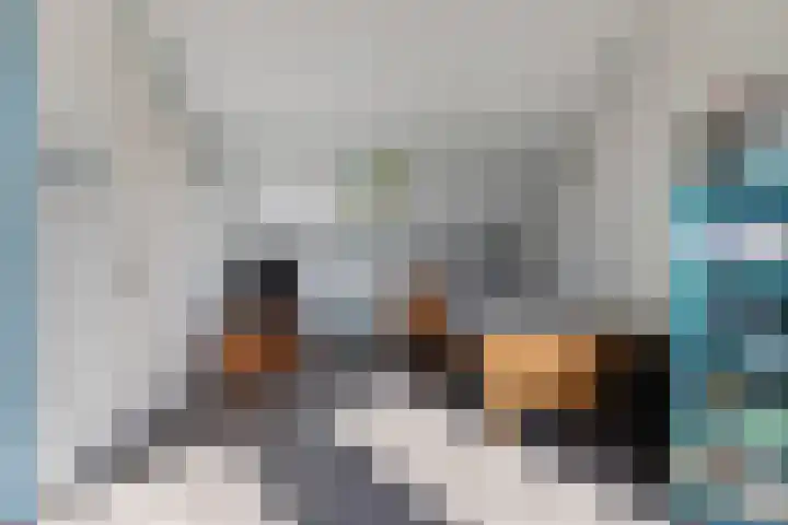 Hoveniersdreef 202 Apeldoorn thumbnail 23