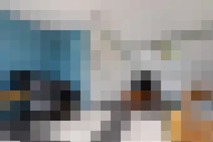 Hoveniersdreef 202 Apeldoorn thumbnail 24
