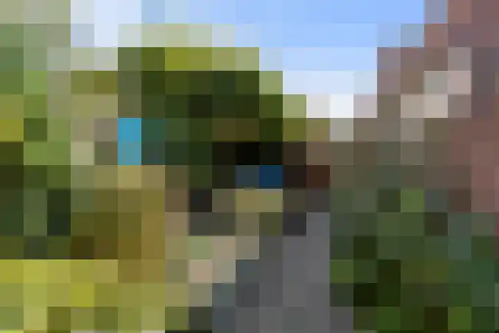 Hoveniersdreef 202 Apeldoorn thumbnail 27