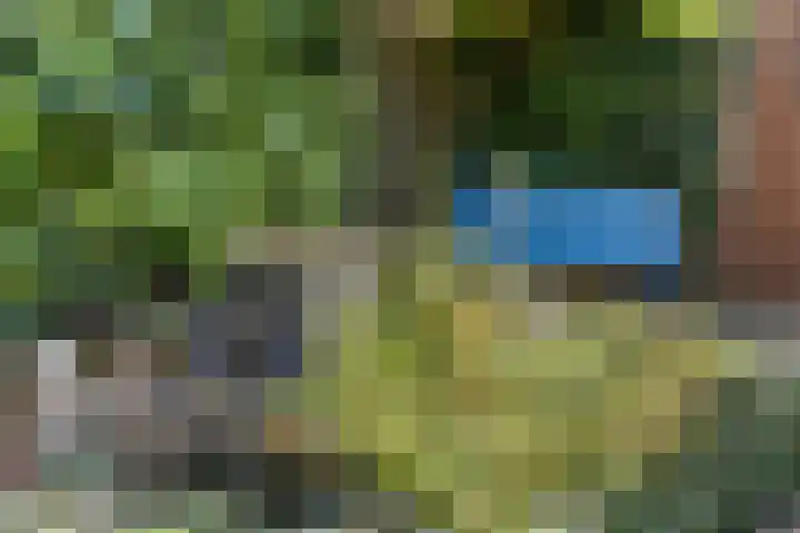Hoveniersdreef 202 Apeldoorn thumbnail 28
