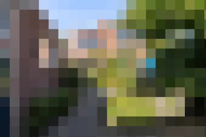 Hoveniersdreef 202 Apeldoorn thumbnail 29