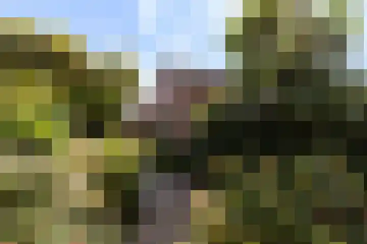 Hoveniersdreef 202 Apeldoorn thumbnail 30