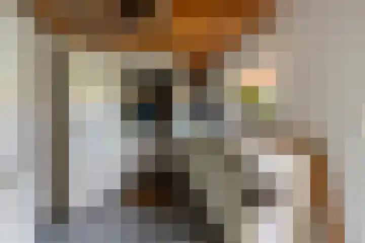 Hoveniersdreef 202 Apeldoorn thumbnail 31