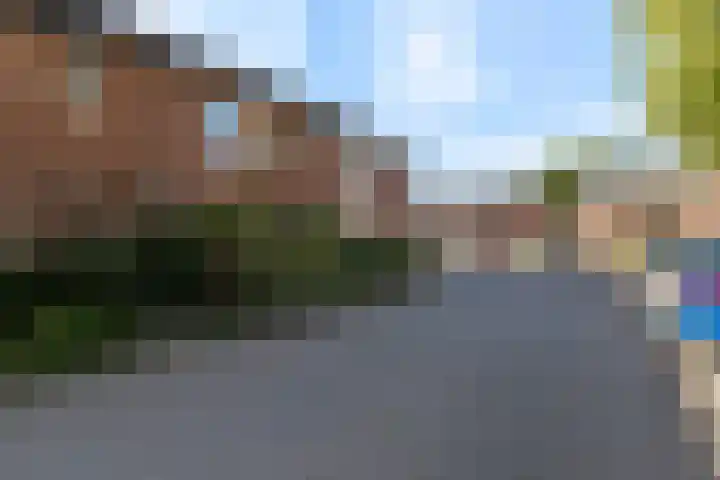 Hoveniersdreef 202 Apeldoorn thumbnail 33
