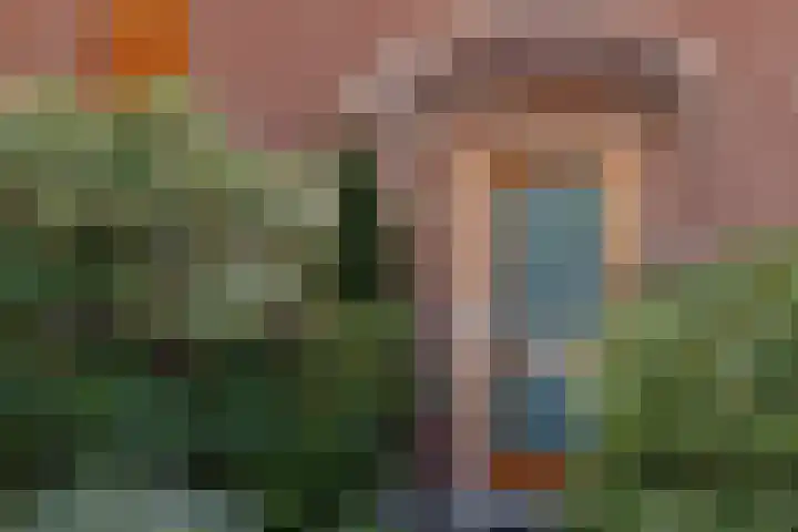 Hoveniersdreef 202 Apeldoorn thumbnail 4