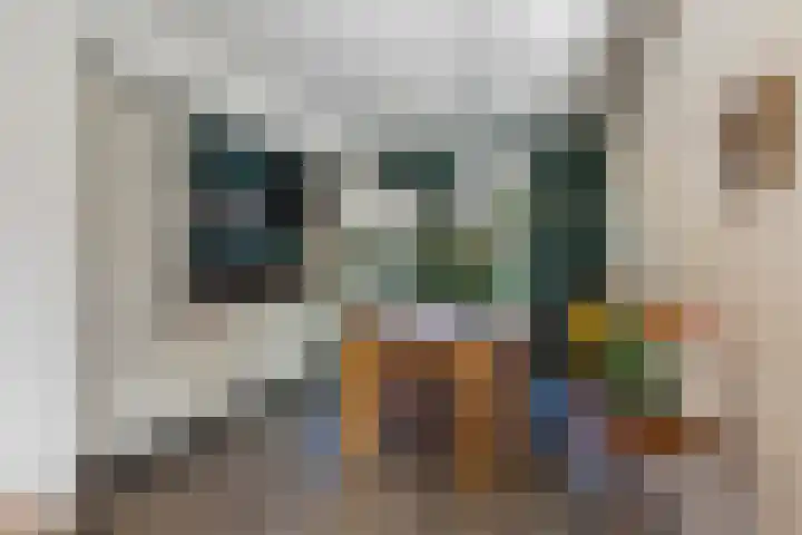 Hoveniersdreef 202 Apeldoorn thumbnail 9