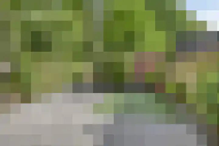 Hoveniersdreef 303 Apeldoorn thumbnail 13