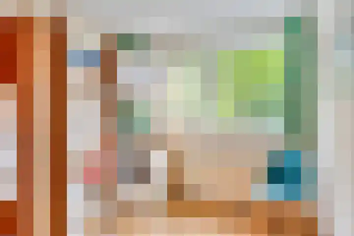 Hoveniersdreef 303 Apeldoorn thumbnail 20