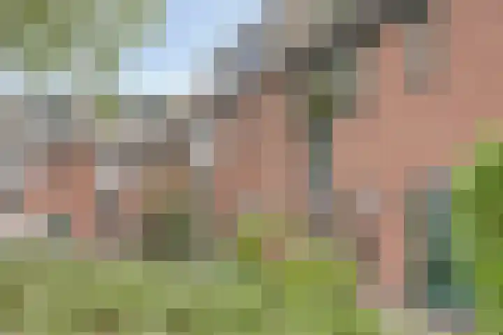 Hoveniersdreef 303 Apeldoorn thumbnail 27