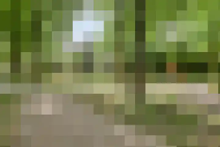 Hoveniersdreef 303 Apeldoorn thumbnail 29
