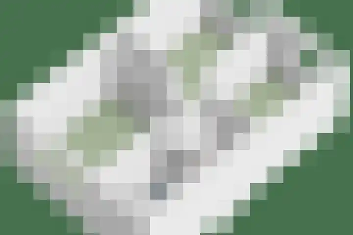 Hoveniersdreef 303 Apeldoorn thumbnail 37