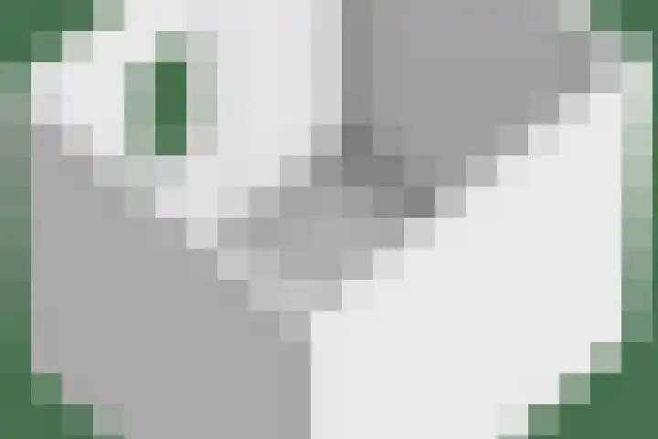 Hoveniersdreef 303 Apeldoorn thumbnail 39