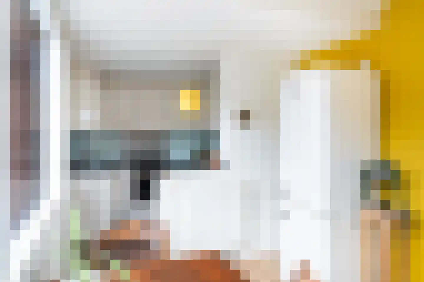 Hovenierskade 4 Gouda thumbnail 17