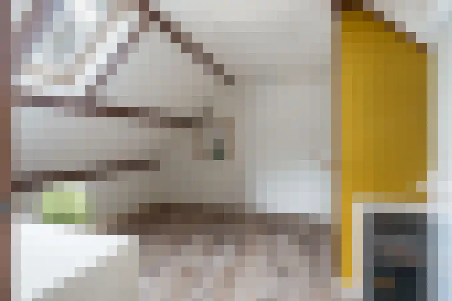 Hovenierskade 4 Gouda thumbnail 35