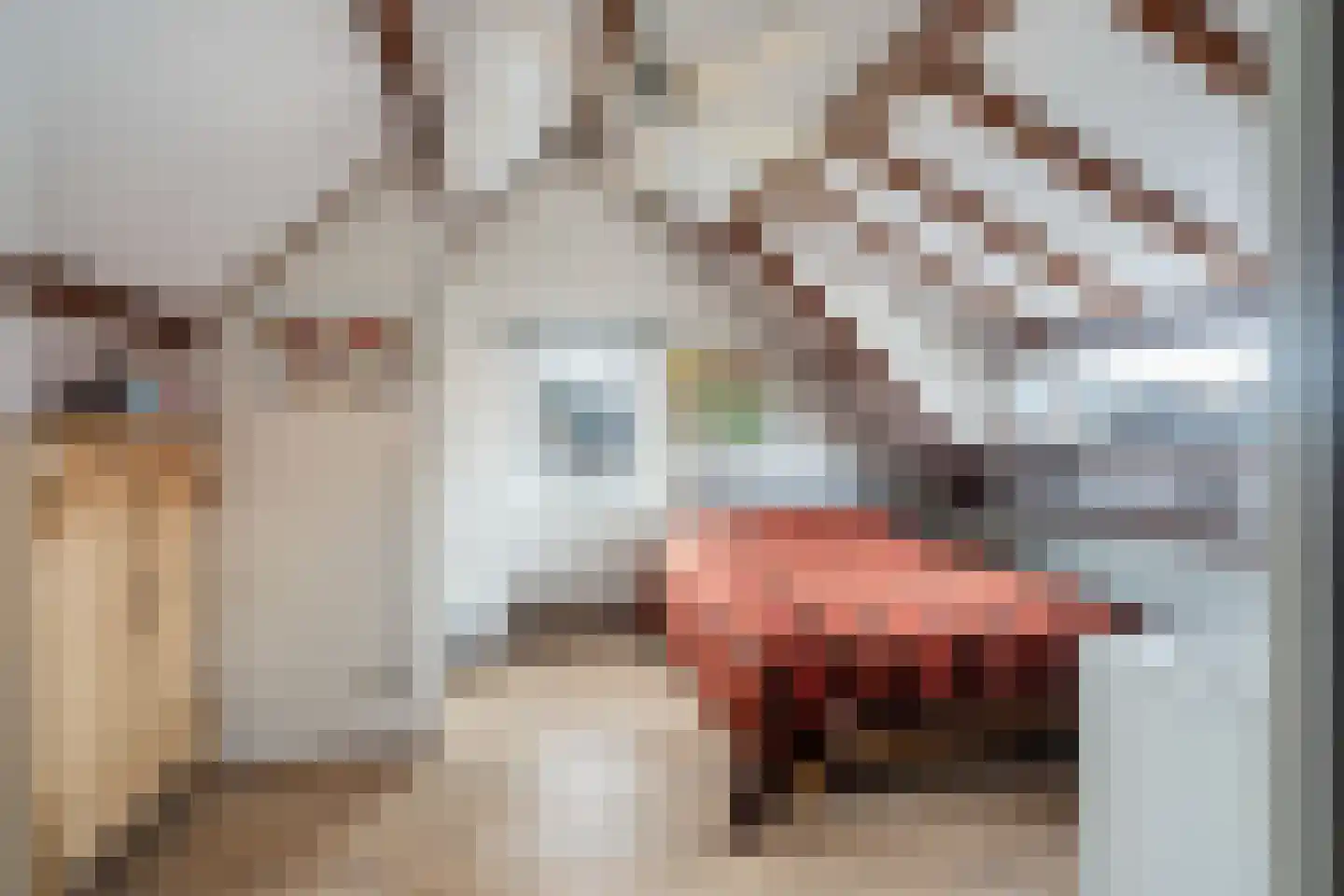 Hovenierskade 4 Gouda thumbnail 36