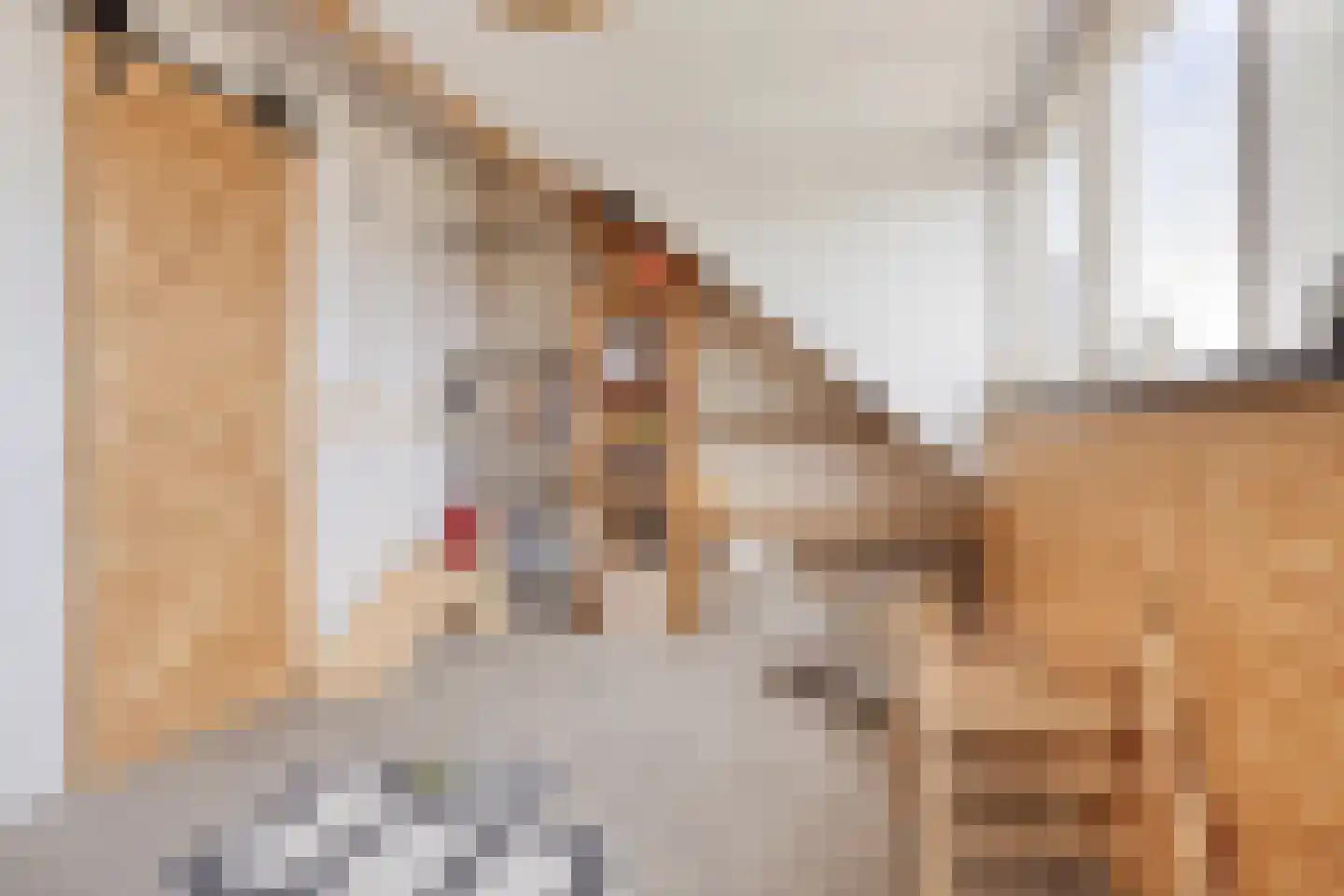 Hovenierslaan 21 Scherpenzeel thumbnail 27