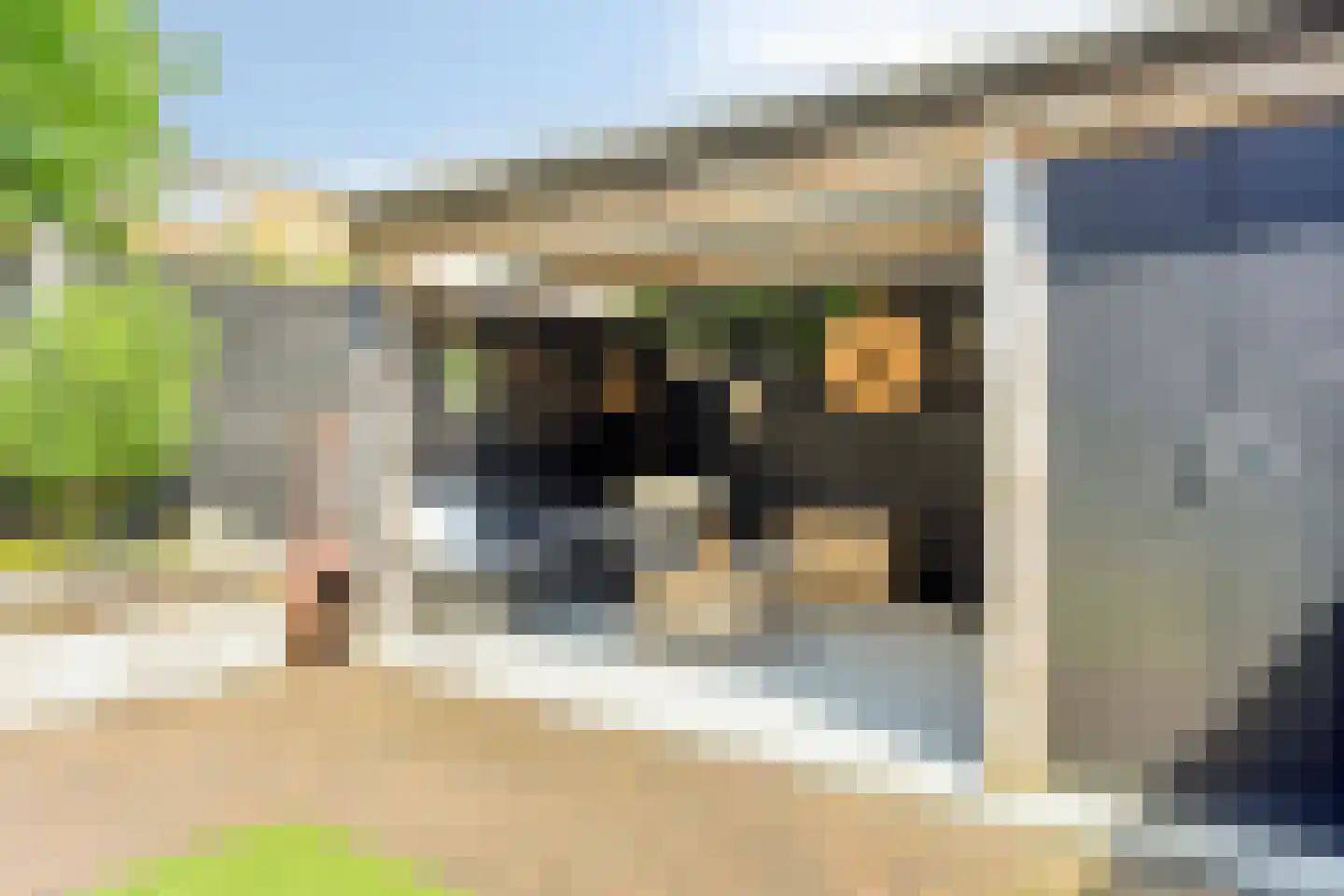 Hovenierslaan 21 Scherpenzeel thumbnail 28