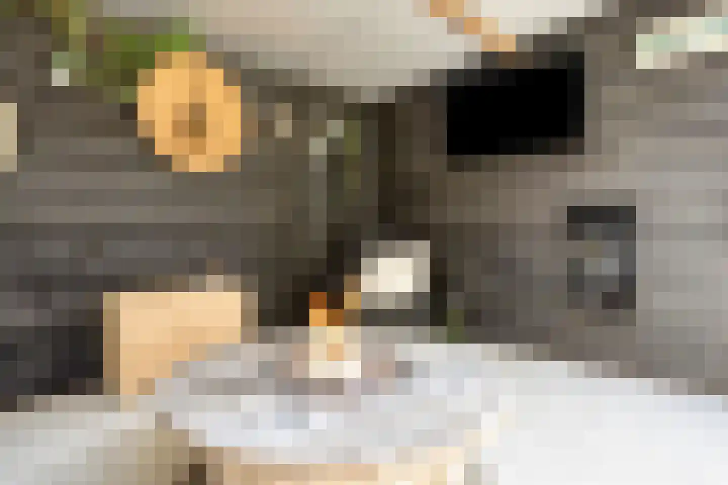 Hovenierslaan 21 Scherpenzeel thumbnail 30