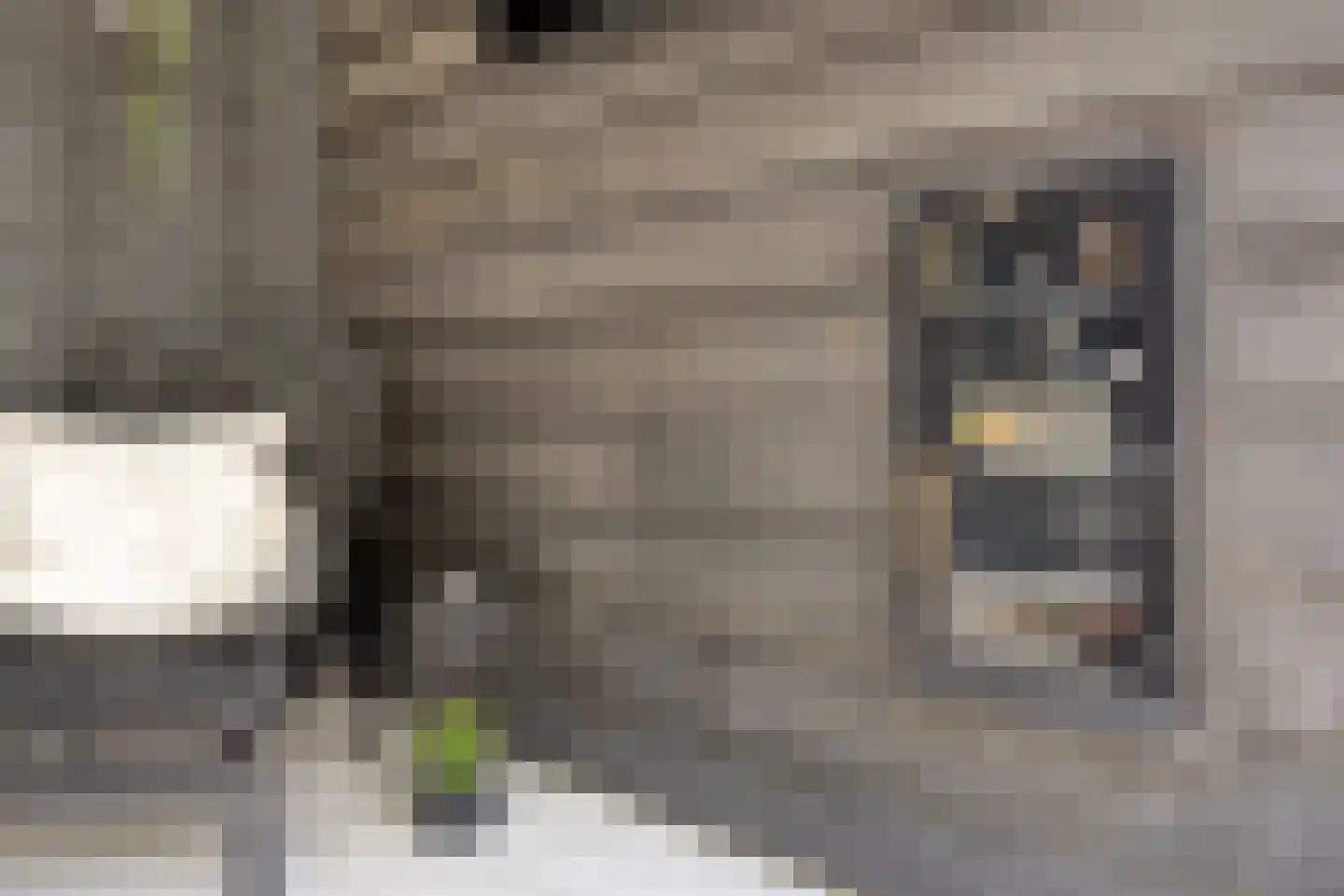 Hovenierslaan 21 Scherpenzeel thumbnail 31