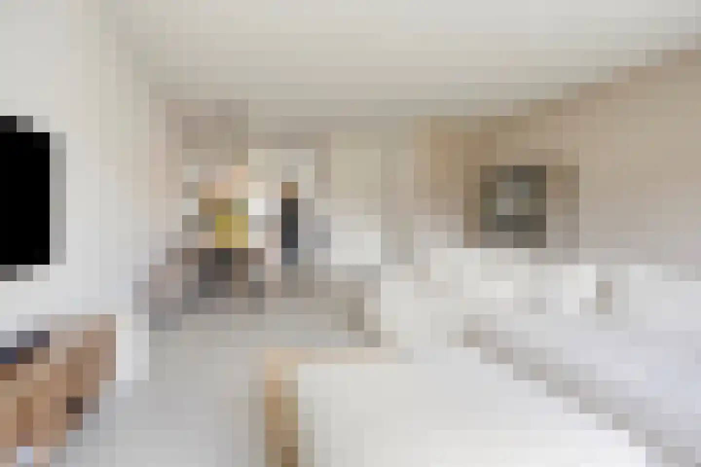 Hovenierslaan 21 Scherpenzeel thumbnail 8