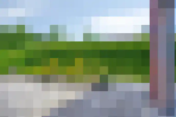 Hovenierslaan 26 Scherpenzeel thumbnail 24
