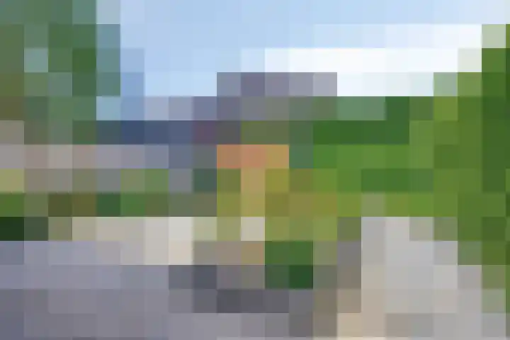 Hovenierslaan 26 Scherpenzeel thumbnail 25