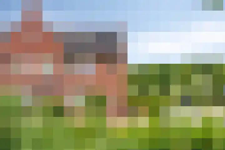 Hovenierslaan 26 Scherpenzeel thumbnail 29